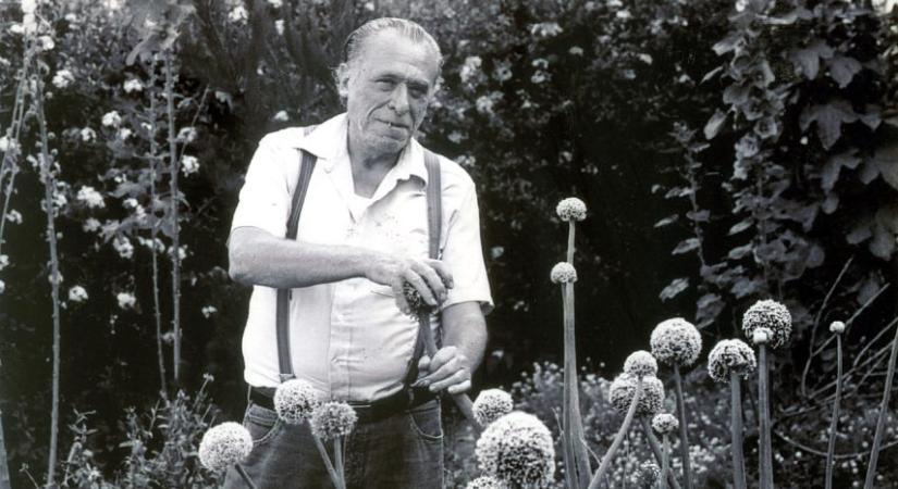 Charles Bukowski versei magyar fordításban jelennek meg