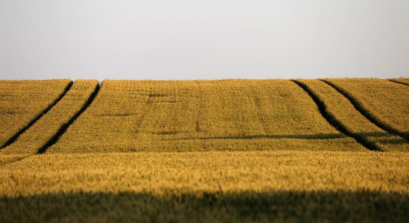 Növekvő terméshozam, regenerálódó talaj – egyszerre?