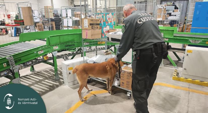 Senki sem bújhat ki az ellenőrzés alól: a NAV a postai és futárküldeményeket is átvizsgálja