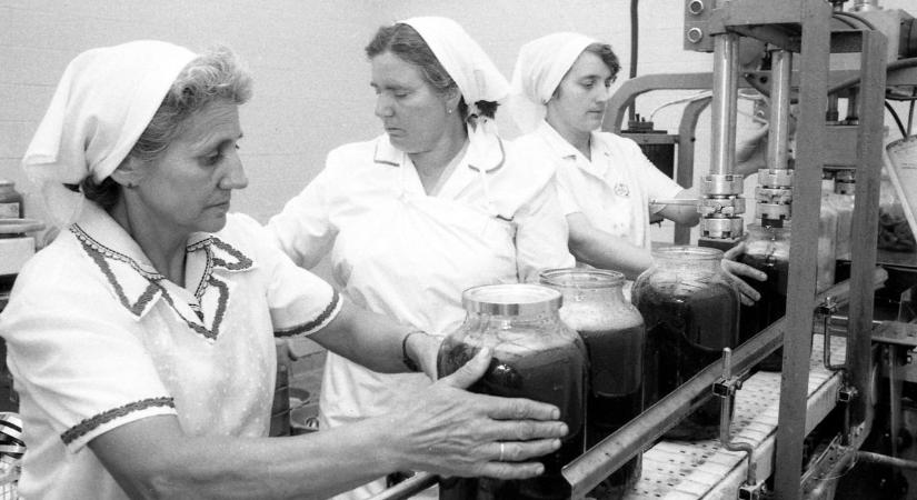 A baranyai konzervek egész Európát meghódították – fotókon a hőskor (GALÉRIA)