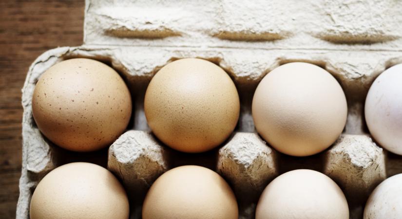 Találja ki, mennyibe kerül a tojás! Aranyárban a rántotta