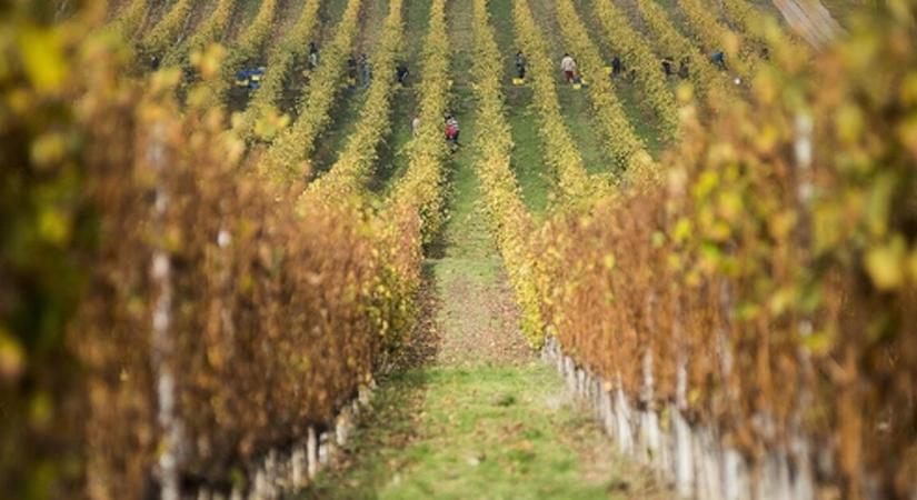 Több mint háromezer állami földet kínálnak eladásra