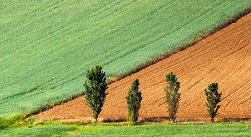Több száz településen kínál eladásra földterületet az Agrárminisztérium