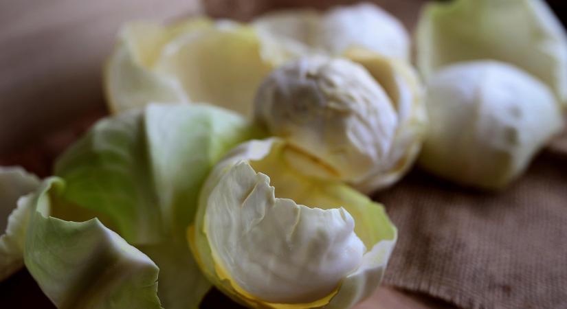 Válságban a lengyel káposzta értékesítés