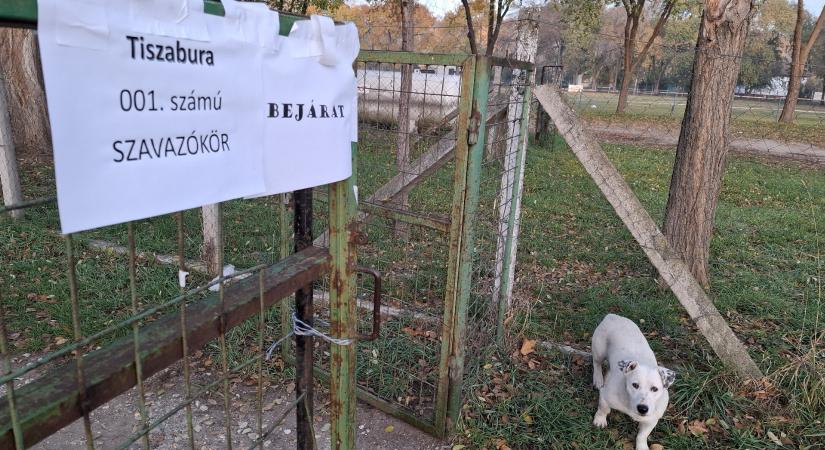 „Ha rászánok hárommilliót, én vagyok a polgármester” – Tiszabura újra szavaz?