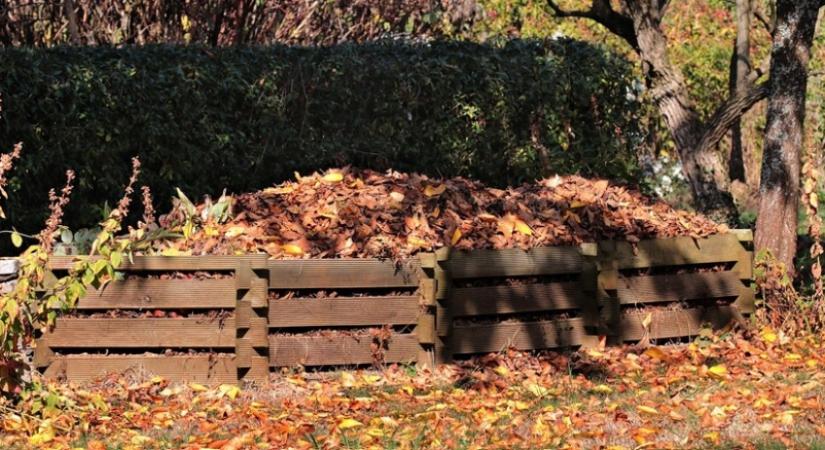 Hogyan komposztáljuk a leveleket egyszerűen – és hogyan gyorsíthatjuk fel a folyamatot?