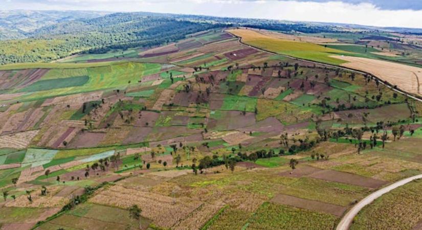 Elindult az állami földértékesítési program újabb üteme