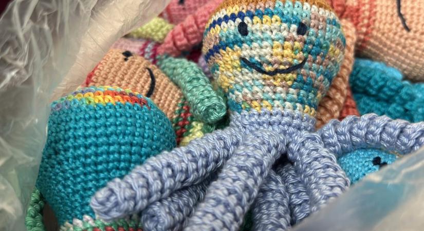 „Kapaszkodott benne, mint az anyaméhben a köldökzsinórban”