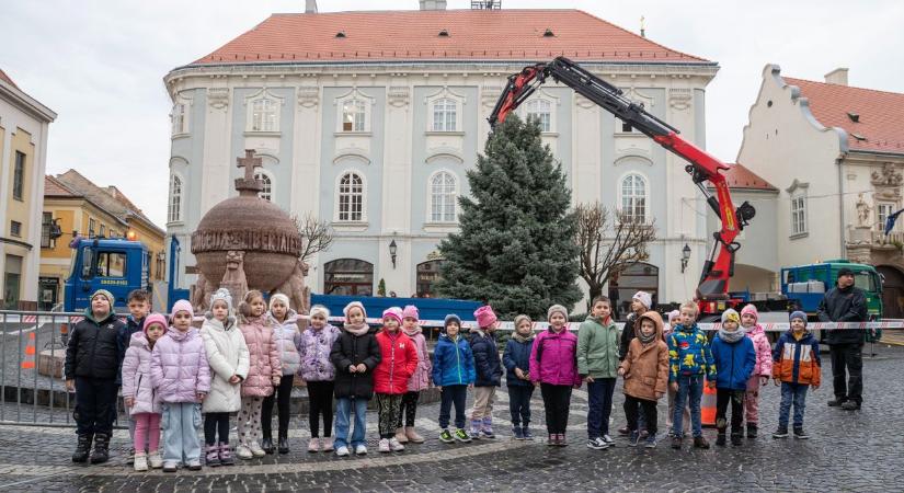 Megérkezett Székesfehérvár karácsonyfája (galéria, videó)