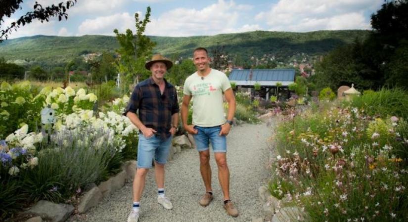 Permakultúra, ízorgia, gyógyfüvek