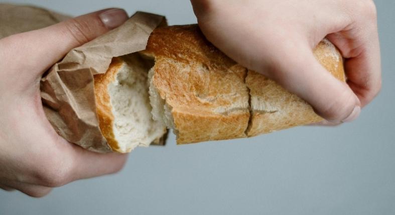 Kenyér, chips, csokik kesz - halálos bélelzáródást okozhat, ha ezekkel eteted a vadállatokat