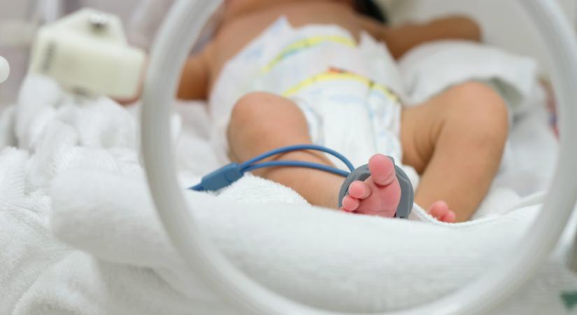 A legkisebb hősök napja van