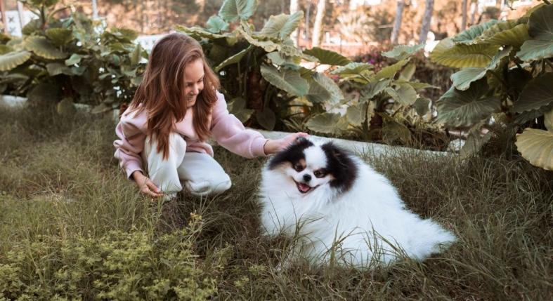 5 dolog, amitől igazán komfortos lesz a kisállatnak is a kert