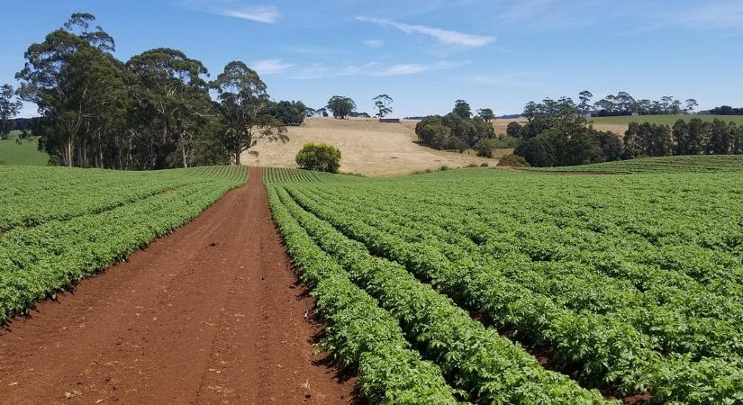Ezt a gyakorlatot próbálgatja mindenki, nem véletlenül
