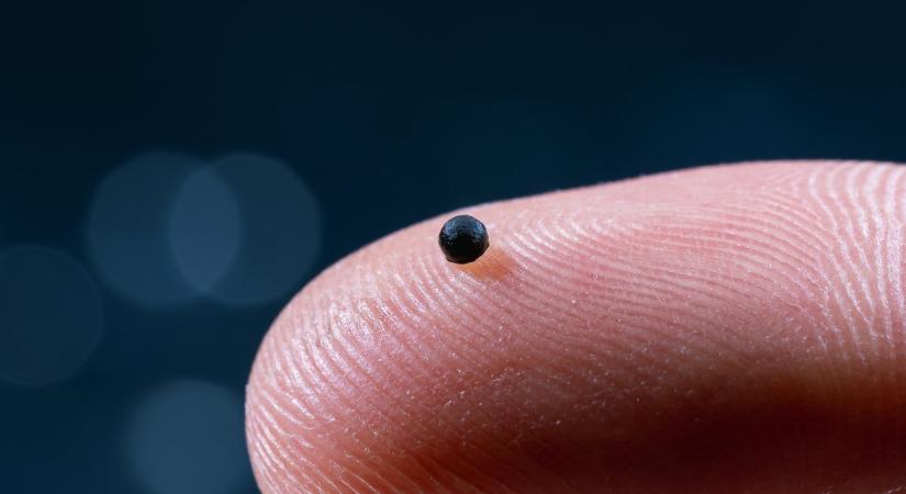 Sztrókelhárító mikrorobotot fejlesztettek a Zürichi Műszaki Egyetem kutatói