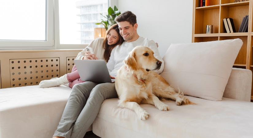 Mekkora internetsebességre van valóban szükség a mindennapokban?