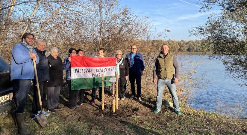Ültessünk együtt – mert a gyökerek összekötnek