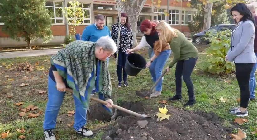 Vásárhelyi iskolákkal ültettek Barátság fát Torontálvásárhelyen