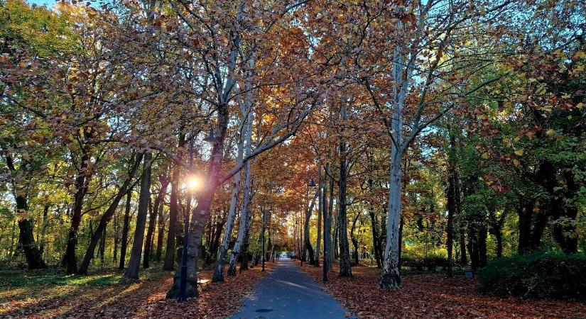 Színesre festette az ősz a Keszthelyi Helikon parkot