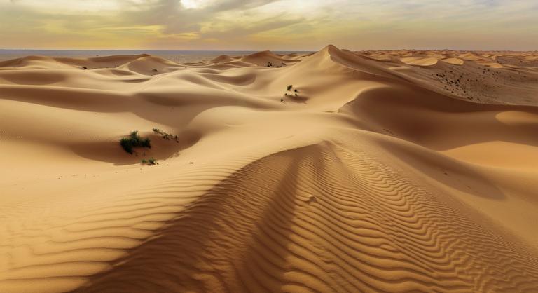 Luxuscikk lesz a homok, virágzik a homokmaffia és a feketepiac