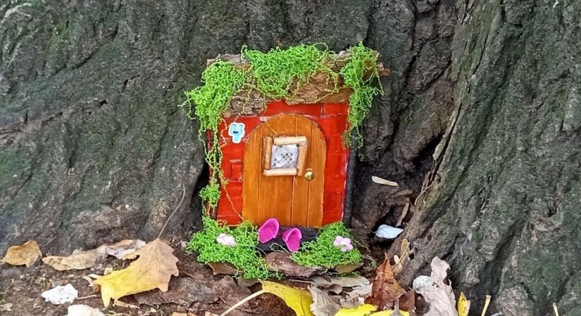 Ismét kiköltöztek a manók a győri ligetbe - olvasói fotók