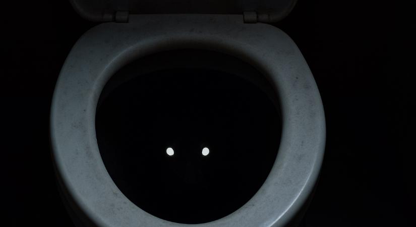 A magyar vécékben is megjelent az állat, ami felkúszik a csöveken