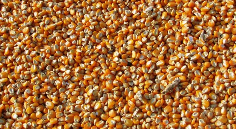 A vártnál magasabb kínálati kilátások mozgatták a piacot