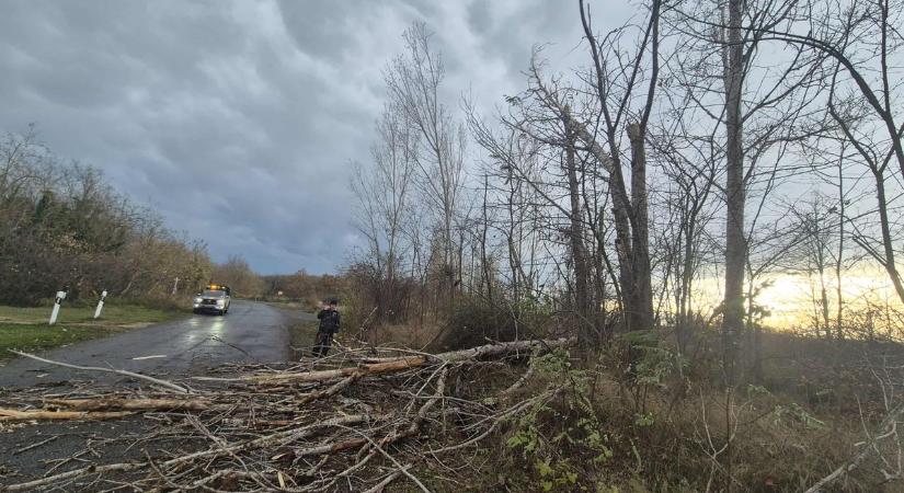 Fák dőltek, torlódás az utakon – így tombol a hidegfront Dunaújváros környékén
