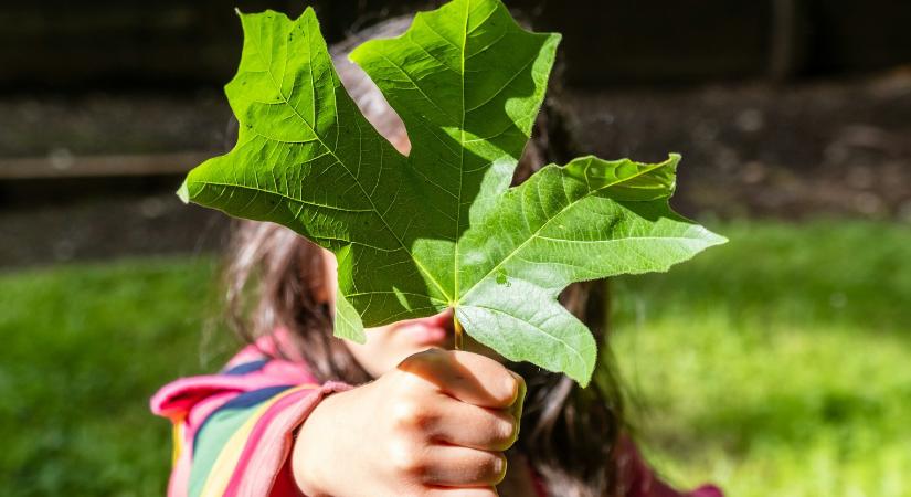 Megválasztották az Ország Játékait – a fenntarthatóság is szempont volt