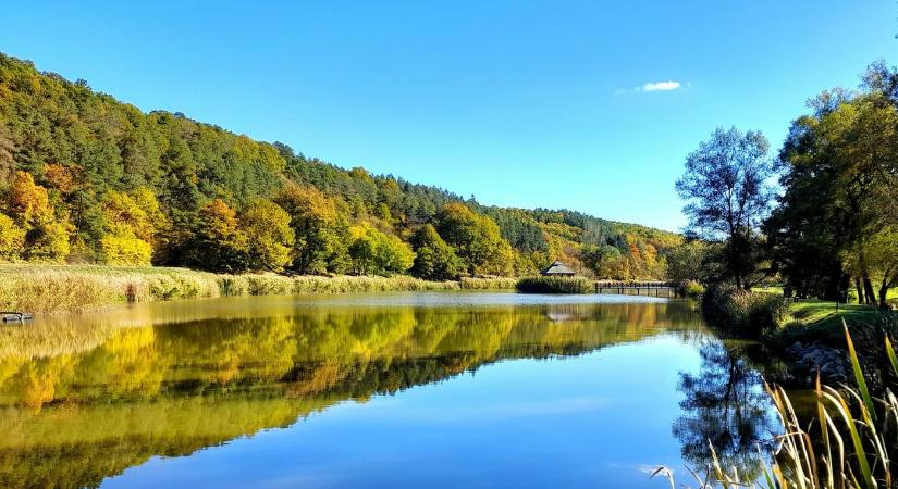 Őszi úti cél a Börzsöny lábánál: a berkenyei Hársas-tó