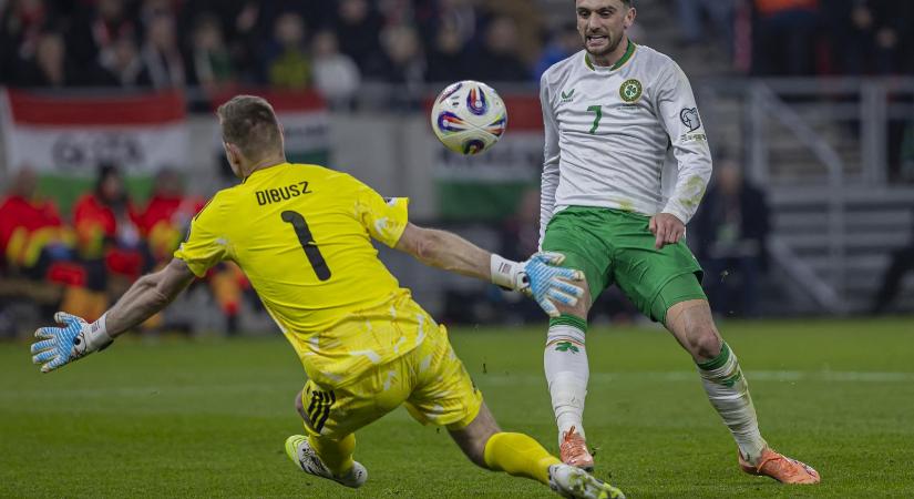 Papagájt neveztek el Dublinban a mesterhármast szerző ír csatárról