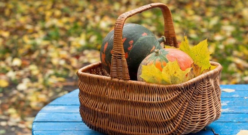 Konyhakert téliesítése novemberben – ágyásrendezés A-tól Z-ig