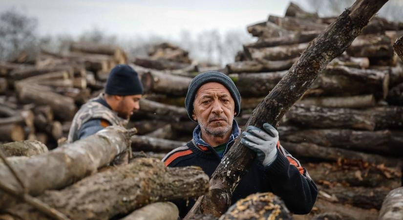 Megérkezett a döntés: idén is több száz Heves vármegyei család kap ingyen tüzelőt!