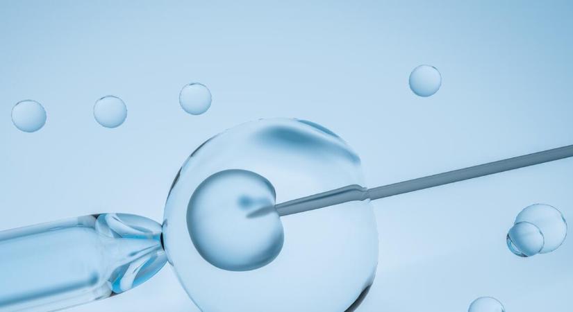 A Demokratikus Koalíció kiáll a petesejt donáció engedélyezését