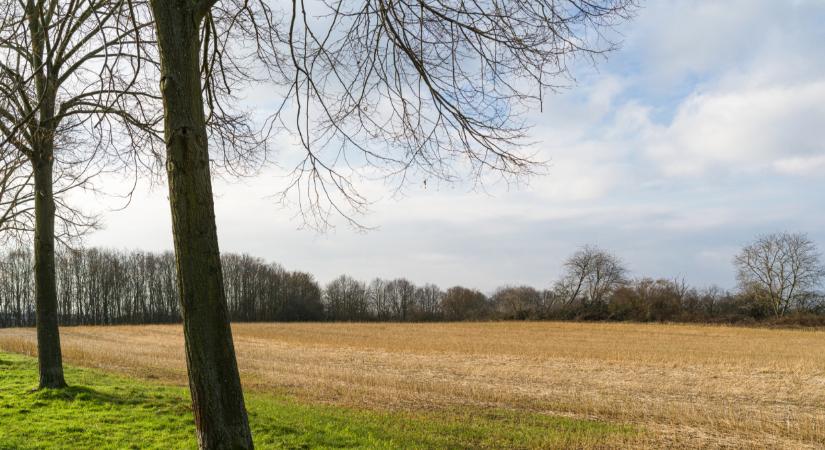 Felkeresik ezeket a gazdákat Magyarországon: vigyázz, lehet köztük vagy