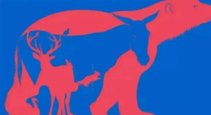 Optikai illúzió: kiemelkedően magas az IQ-ja, ha minden állatot megtalál ezen a képen