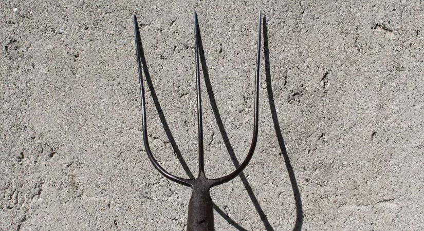 Vasvillával támadt ismerősére – bíróság előtt a férfi