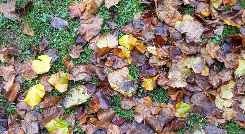 Van mégis feladatunk?