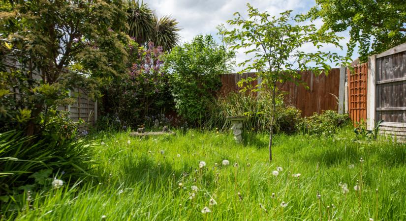 Változik a zártkerti ingatlanok szabályozása: ezzel nem árt tisztában lenni