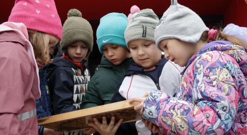 Székesfehérvár lett az ország közepe: minden szem ránk szegeződött (galéria)