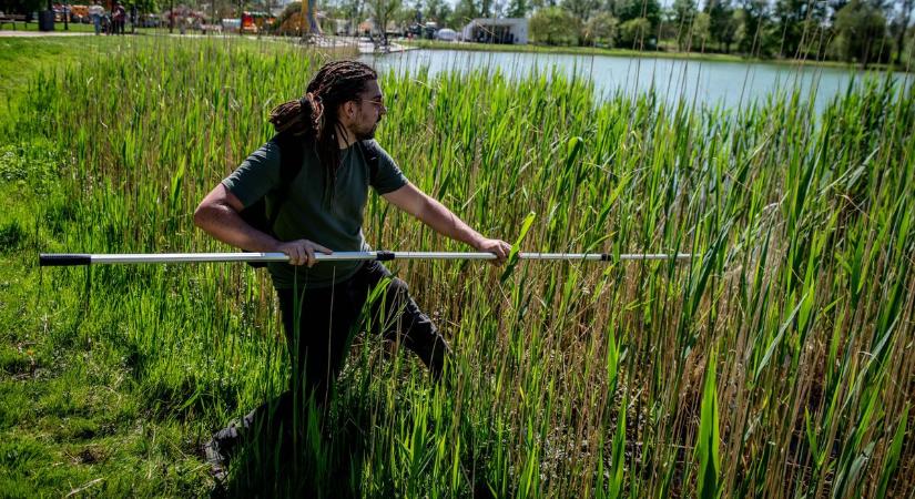 Véget ért a tatabányai teknősvadászat - ilyen volt a 2025-ös szezon  Galéria