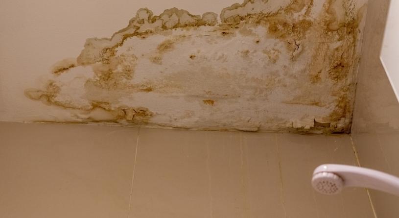 5 hétköznapi ok, ami miatt a plafon foltokban vizesedhet: ezekre gondolj először!