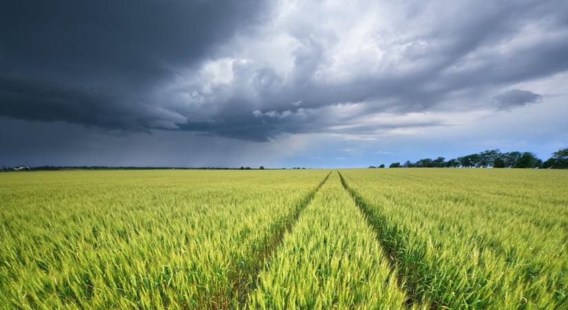 Így juthatsz nagyobb állami támogatáshoz