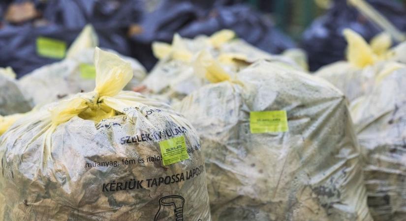 Makón panaszkodnak a zöldhulladékos zsákokra: kiderítettük, miért kapnak ilyen keveset
