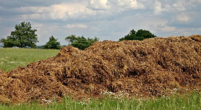 Trágyatárolás szabályai télen – csurgalékvédelem és környezet