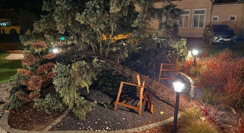 Mikepércset megtépázta a hétfői vihar