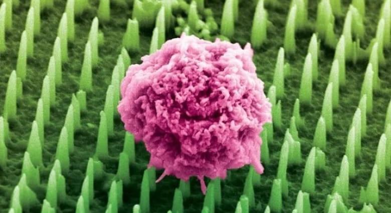 Fogtak egy csipet sót a tudósok, aztán történt valami egészen váratlan