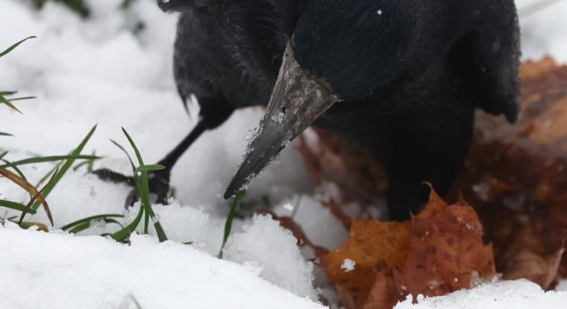 Időjárás Oroszországban