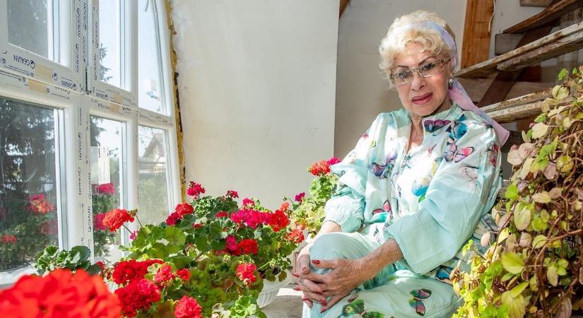 Ez hogy lehet? A VIII. kerületben találták meg Medveczky Ilona imádott rókakucsmáját