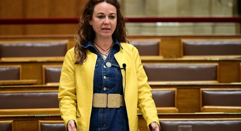 Gulyás Gergely a bértáblával hadonászó Szabó Tímeának: Ön tárgyi tévedésben van